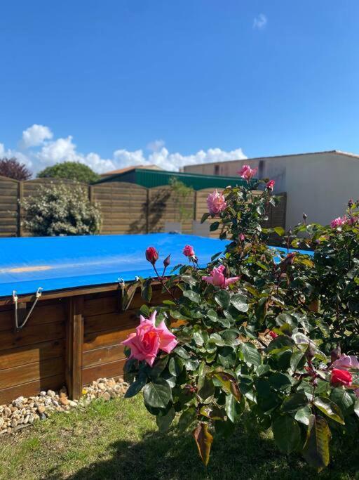 Jolie Petite Maison Renovee Piscine Saint-Palais-sur-Mer Zewnętrze zdjęcie